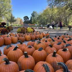 Molin's Meadows Farm