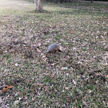 Armand Bayou Nature Center - Parks Near Me - Pasadena, Texas Armand Bayou Nature Center - Parks Near Me - Pasadena, Texas