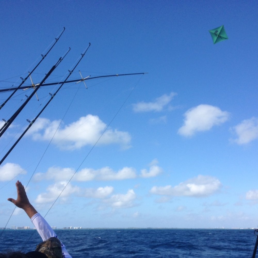 Blue Waters ll - Kite fishing gets the lines out there - Boat Charters Near Me - Miami, Florida