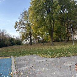 Back Bay Park - Grass and walking path