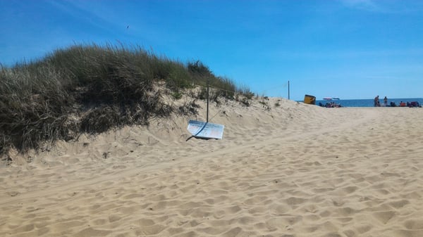 Edgartown South Beach by null