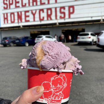 Thorp Fruit & Antique Mall - Lavender sea salt flavor it's a must! - Antiques Near Me - Thorp, Washington Thorp Fruit & Antique Mall - Lavender sea salt flavor it's a must! - Antiques Near Me - Thorp, Washington