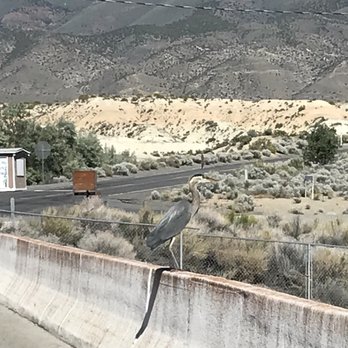Rye Patch - Campgrounds Near Me - Lovelock, Nevada