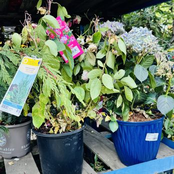 Lowe's Home Improvement - Not clearance - Hardware Stores Near Me - Milwaukie, Oregon