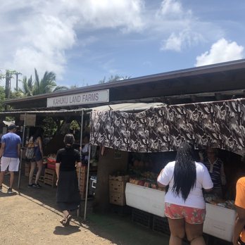 Aloha Circle Island Tours - Delicious fresh fruits.. - Snorkeling Near Me - Honolulu, Hawaii Aloha Circle Island Tours - Delicious fresh fruits.. - Snorkeling Near Me - Honolulu, Hawaii