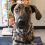 Photo of Chuck And Don's Pet Food And Supplies