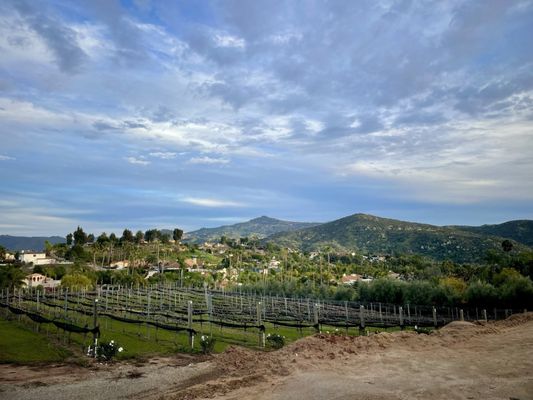 Hungry Hawk Vineyards & Winery by null