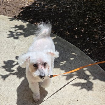 Paws And Claws - Pet Groomers Near Me Paws And Claws - Pet Groomers Near Me