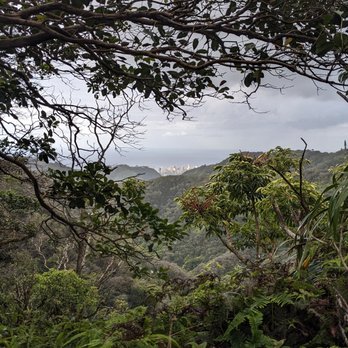 Wiliwilinui Ridge Trail - Hiking Near Me Wiliwilinui Ridge Trail - Hiking Near Me