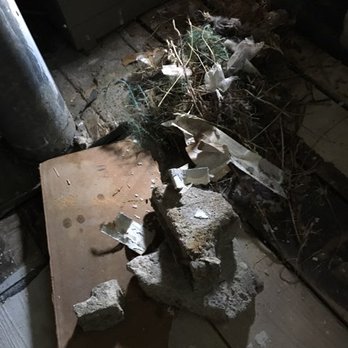 Donofrio & Associates - Home Inspectors Near Me - Ashburn, Virginia