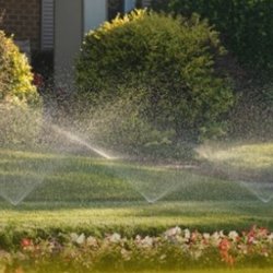 Irrigation Maintenance