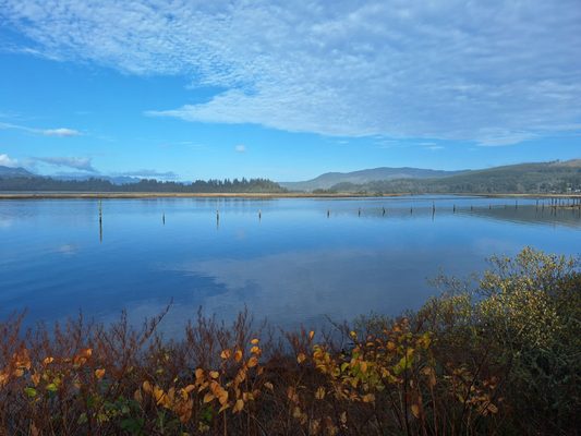 Oregon Coast Scenic Railroad - Rockaway Beach Station by null