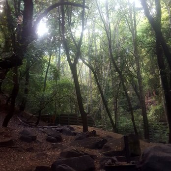 Spruce Grove Campground - Campgrounds Near Me - Arcadia, California