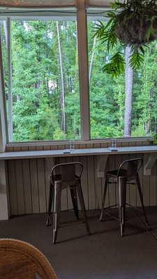 The Royal Tern by null The Royal Tern by null