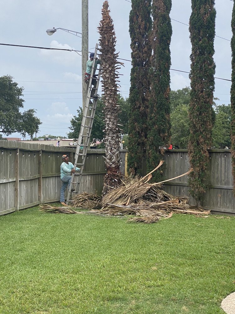 Slide of Lieder Landscapes