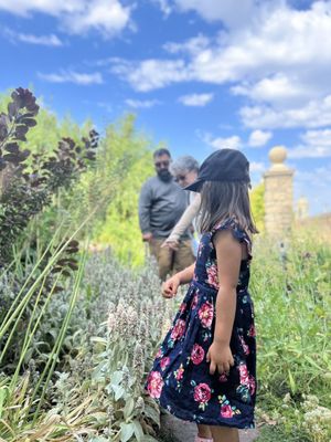 Idaho Botanical Garden by null