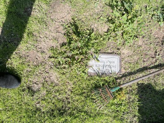 Greenwood Memorial Park and Mortuary by null