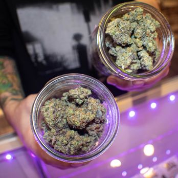 Potland - POTLAND is a locally owned mom and pop dispensary in Portland OR. Come shop at our storefront or order free delivery! - Cannabis Dispensaries Near Me - Portland, Oregon Potland - POTLAND is a locally owned mom and pop dispensary in Portland OR. Come shop at our storefront or order free delivery! - Cannabis Dispensaries Near Me - Portland, Oregon