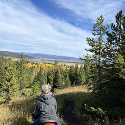 The Diamond P Ranch