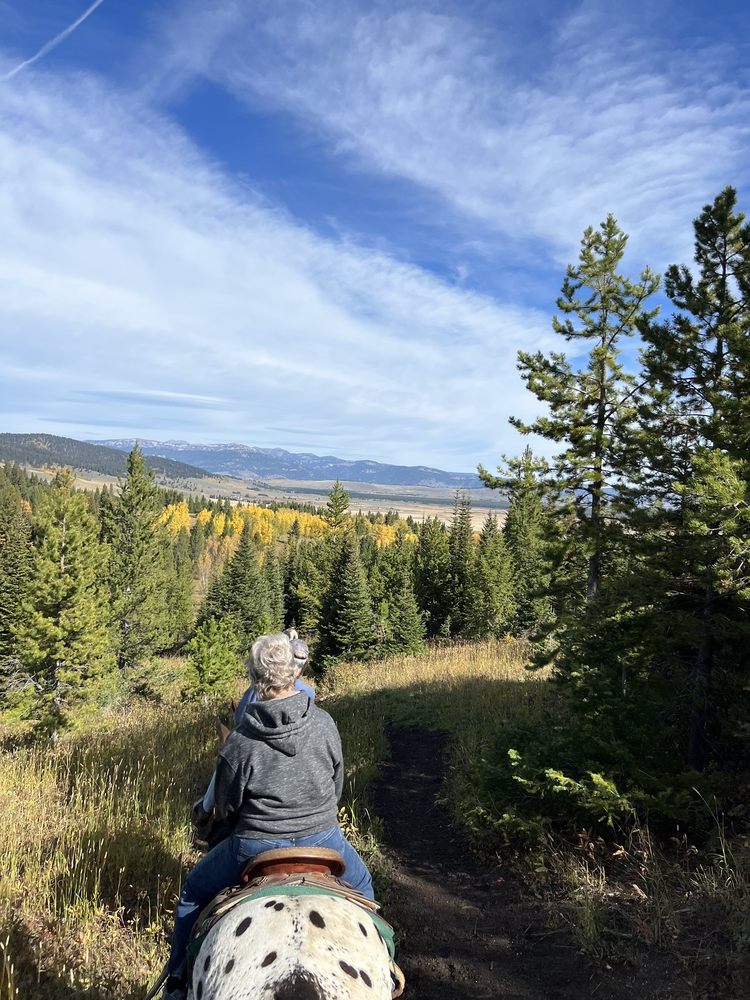 The Diamond P Ranch Logo