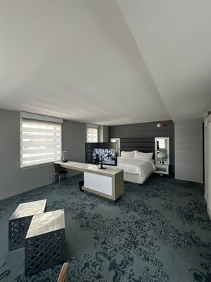 Renaissance Albany Hotel by null