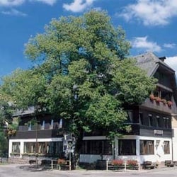 Adler