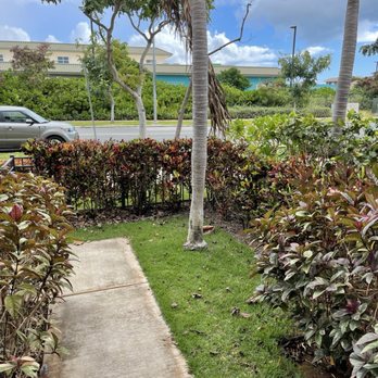 SYNLawn Hawaii - This is what my front lawn locked liked before - Artificial Turf Near Me - Honolulu, Hawaii SYNLawn Hawaii - This is what my front lawn locked liked before - Artificial Turf Near Me - Honolulu, Hawaii