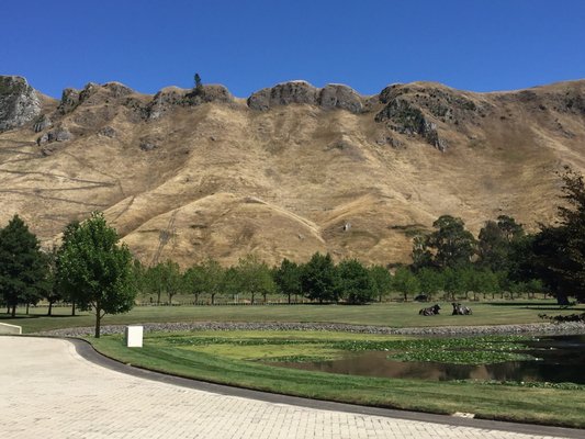 Te Mata Peak by null