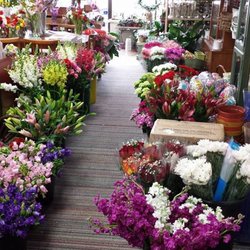 Vanessa's Flowers