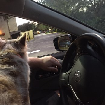 Barbara's Pet Grooming - Pet Groomers Near Me - VALRICO, Florida