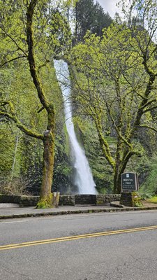 Horsetail Falls by null