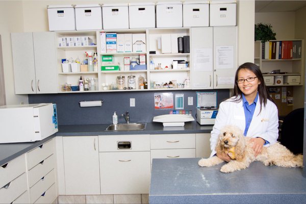 markham veterinary clinic