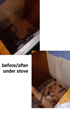 Deep cleaning on move out - Move out clean Deep cleaning on move out - Move out clean