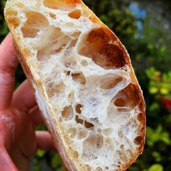 I Loaf Sourdough