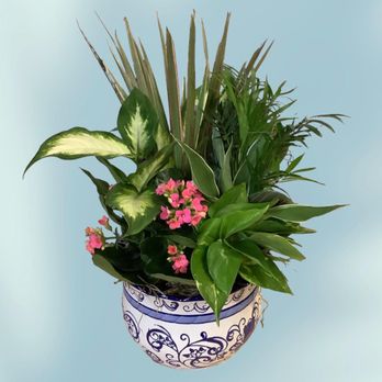 Plattsburgh Flower Market - Florists Near Me - Plattsburgh, New York Plattsburgh Flower Market - Florists Near Me - Plattsburgh, New York