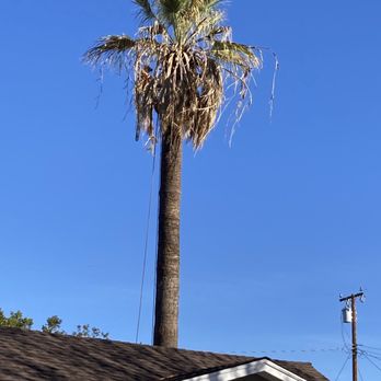 Lozada Tree Service - Tree Services Near Me Lozada Tree Service - Tree Services Near Me