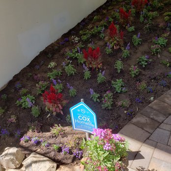Mederos Landscape - Masonry/Concrete Near Me Mederos Landscape - Masonry/Concrete Near Me