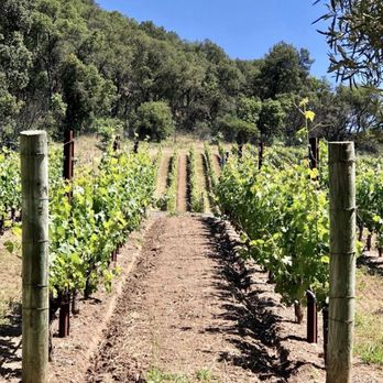 Khant Limo - Napa, winery, limo service - Limos Near Me - Burlingame, California Khant Limo - Napa, winery, limo service - Limos Near Me - Burlingame, California