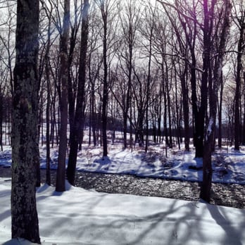 Natirar - Sunlight through trees on snow and stream. - Venues & Event Spaces Near Me - Peapack, New Jersey