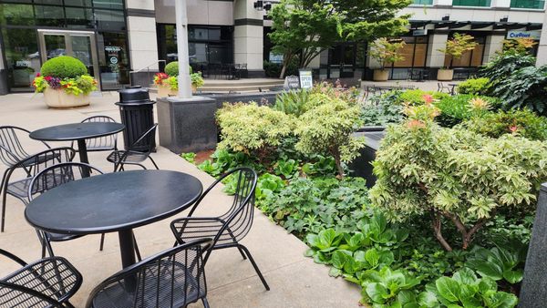 Milkvue & DIY tea lab by null