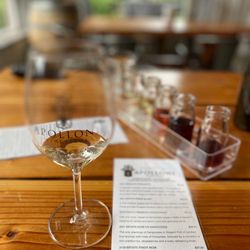 Apolloni Vineyards - The flight