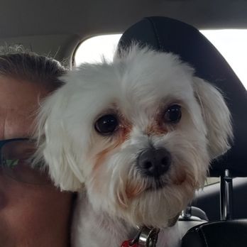 Petco - Pet Stores Near Me - Front Royal, Virginia
