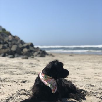 Del Mar North Beach - So picturesque - Beaches Near Me - Del Mar, California Del Mar North Beach - So picturesque - Beaches Near Me - Del Mar, California