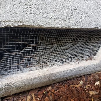 Monster Pest Control - After! - Pest Control Near Me Monster Pest Control - After! - Pest Control Near Me