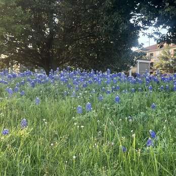 Cleveland Park - Parks Near Me - Houston, Texas Cleveland Park - Parks Near Me - Houston, Texas