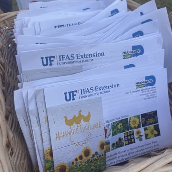 Fruit & Spice Park - Sunflower seeds - Parks Near Me - Homestead, Florida