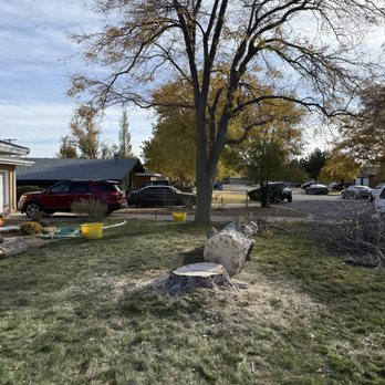 B&S Lawn and Tree - Maple tree removal photo 3 - Tree Services Near Me - Guymon, Oklahoma