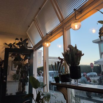 Birichino - Great vibe - Wineries Near Me - Santa Cruz, California Birichino - Great vibe - Wineries Near Me - Santa Cruz, California