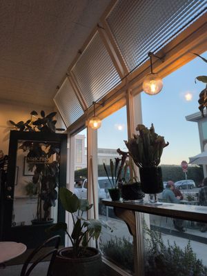 Birichino Winery Tasting Room by null