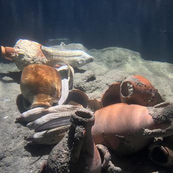 İstanbul Akvaryum - Aquariums Near Me - Istanbul, 34